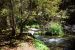 2013-07-14, 012, Clearwater Falls, Umpqua, OR