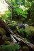 2013-07-14, 021, Watson Falls, Umpqua, OR