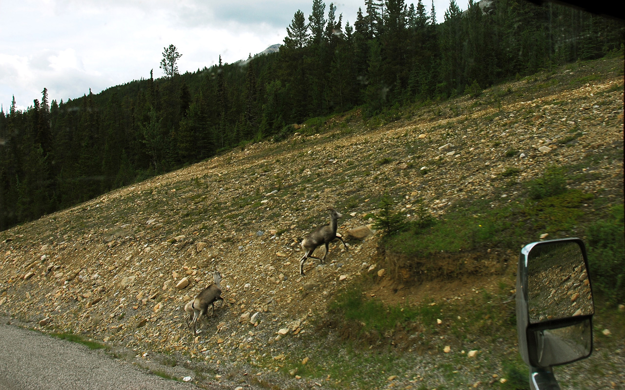 2013-07-28, 042, Alaskan Hwy Mile 0 - 496 BC, CA