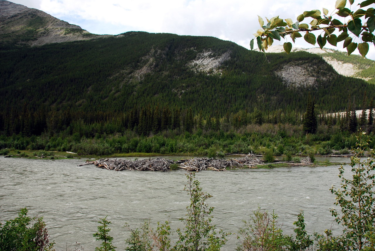 2013-07-28, 074, Alaskan Hwy Mile 0 - 496 BC, CA