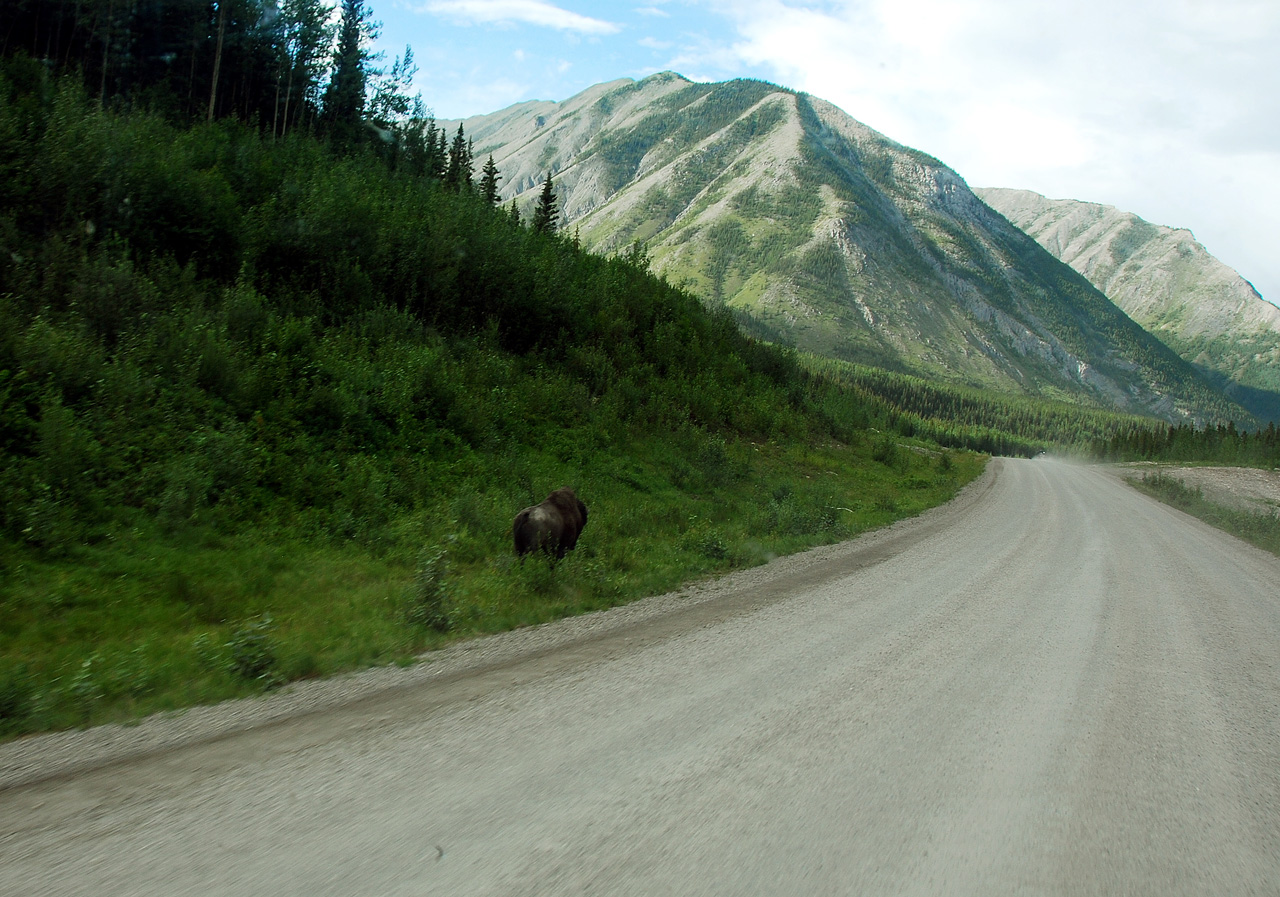 2013-07-28, 094, Alaskan Hwy Mile 0 - 496 BC, CA