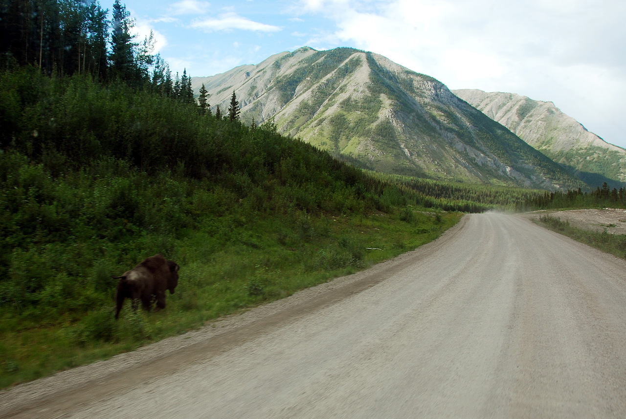 2013-07-28, 095, Alaskan Hwy Mile 0 - 496 BC, CA
