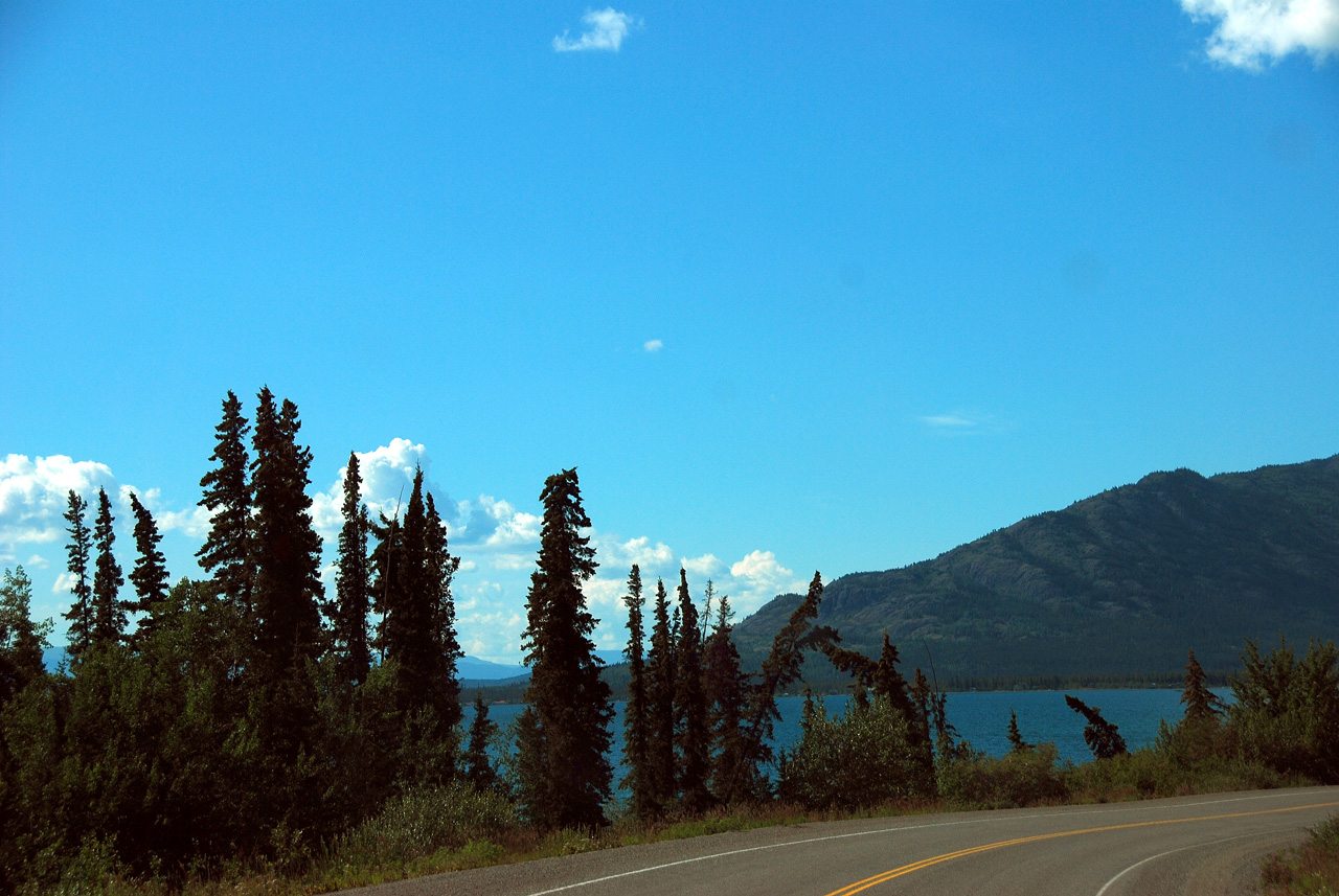 2013-07-29, 070, Alaskan Hwy Mile ... 981, BC-YT, CA