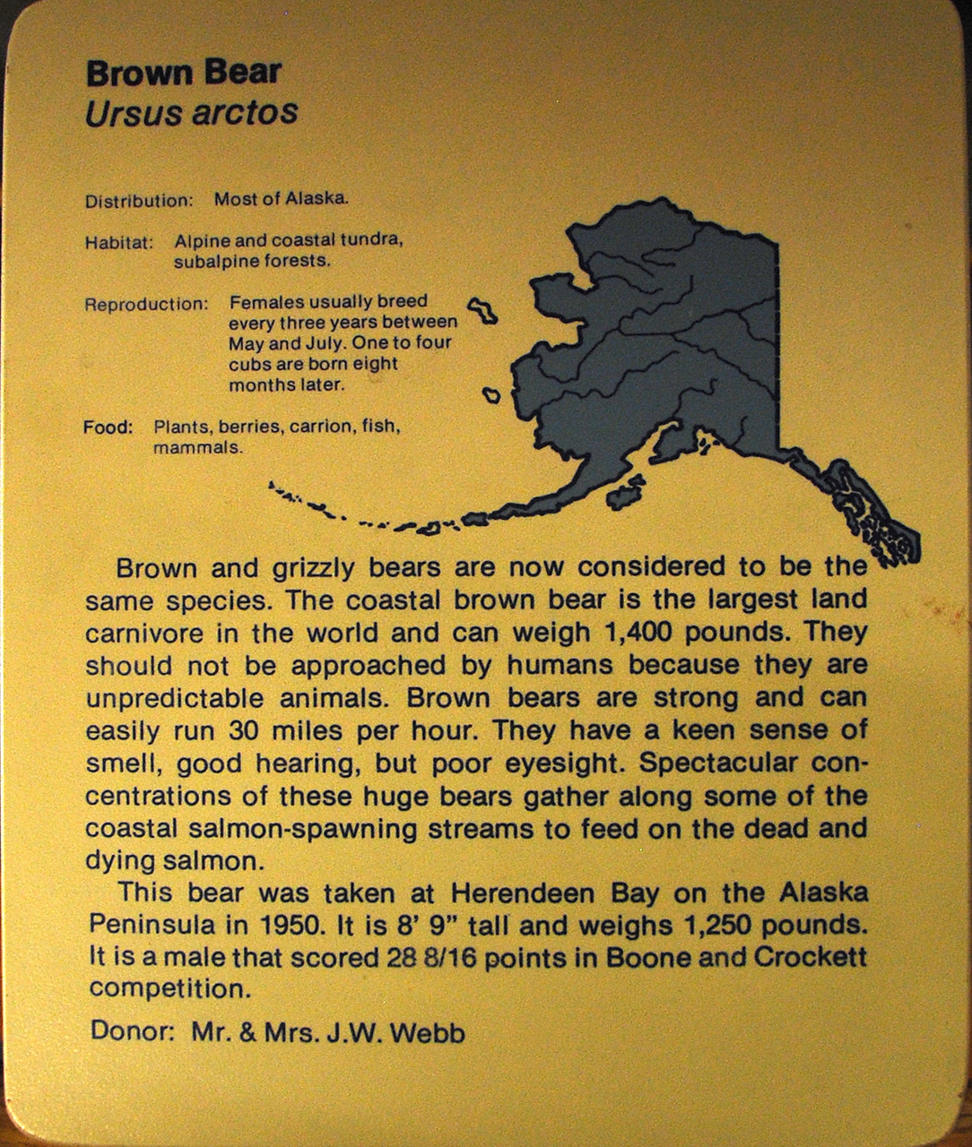 2013-08-02, 002, UA Museum of the North, Fairbanks, AK