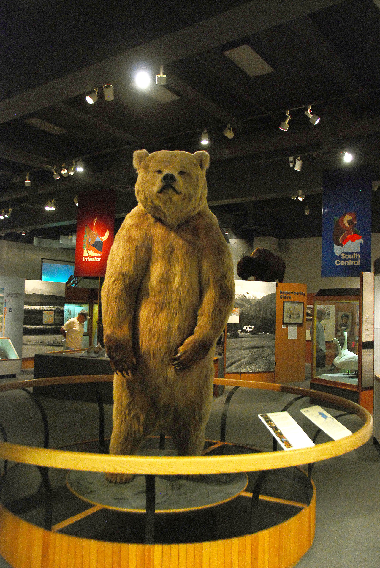 2013-08-02, 003, UA Museum of the North, Fairbanks, AK
