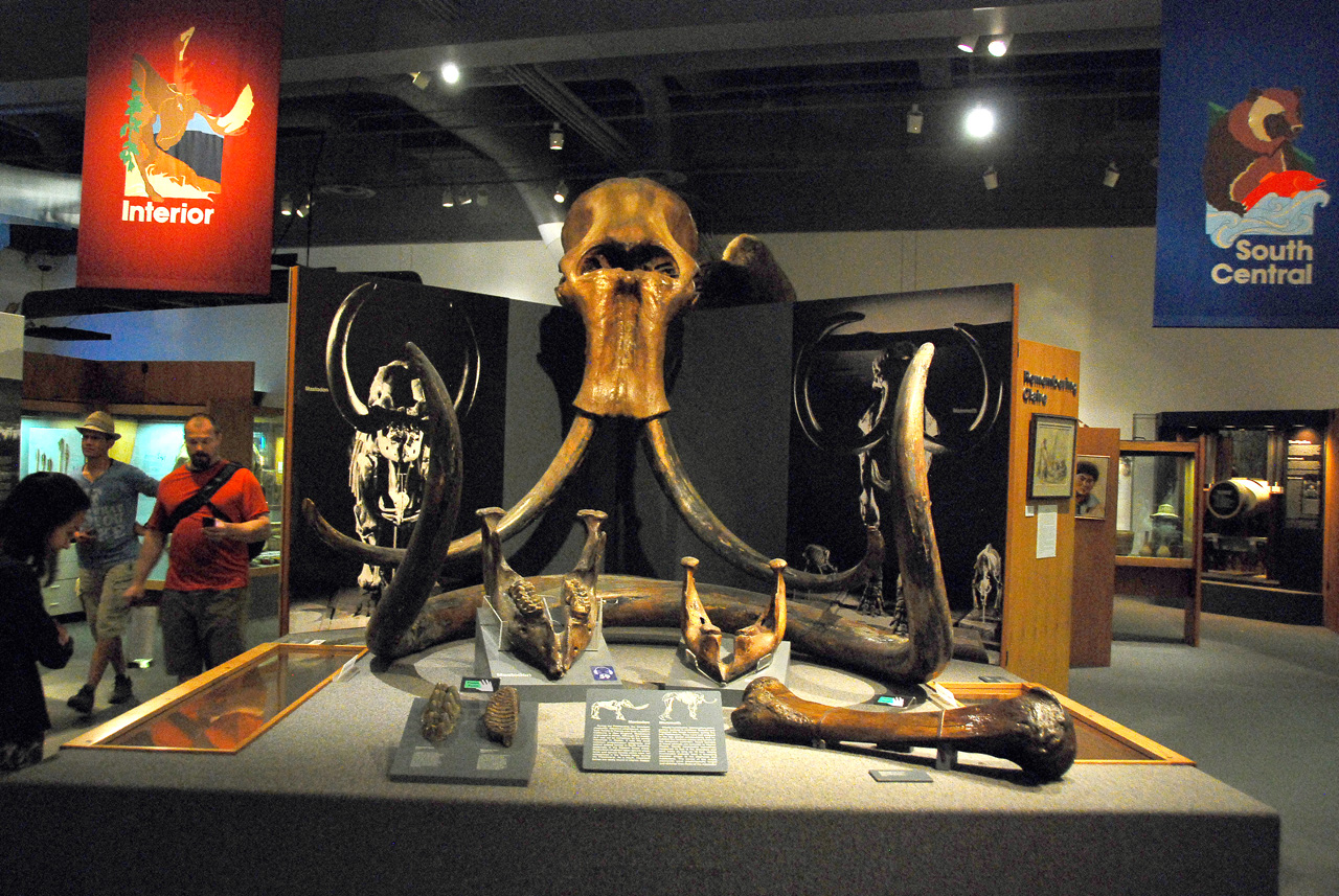 2013-08-02, 005, UA Museum of the North, Fairbanks, AK