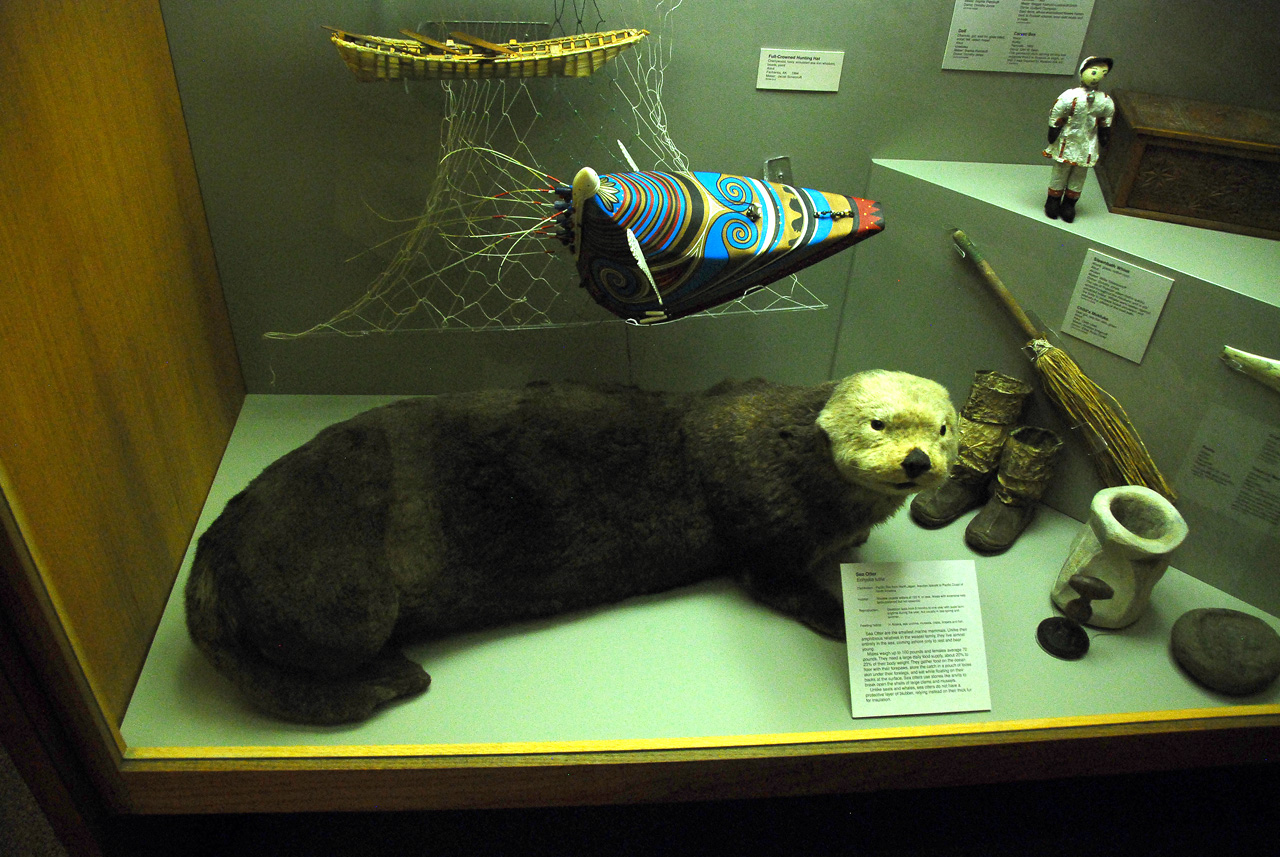 2013-08-02, 006, UA Museum of the North, Fairbanks, AK