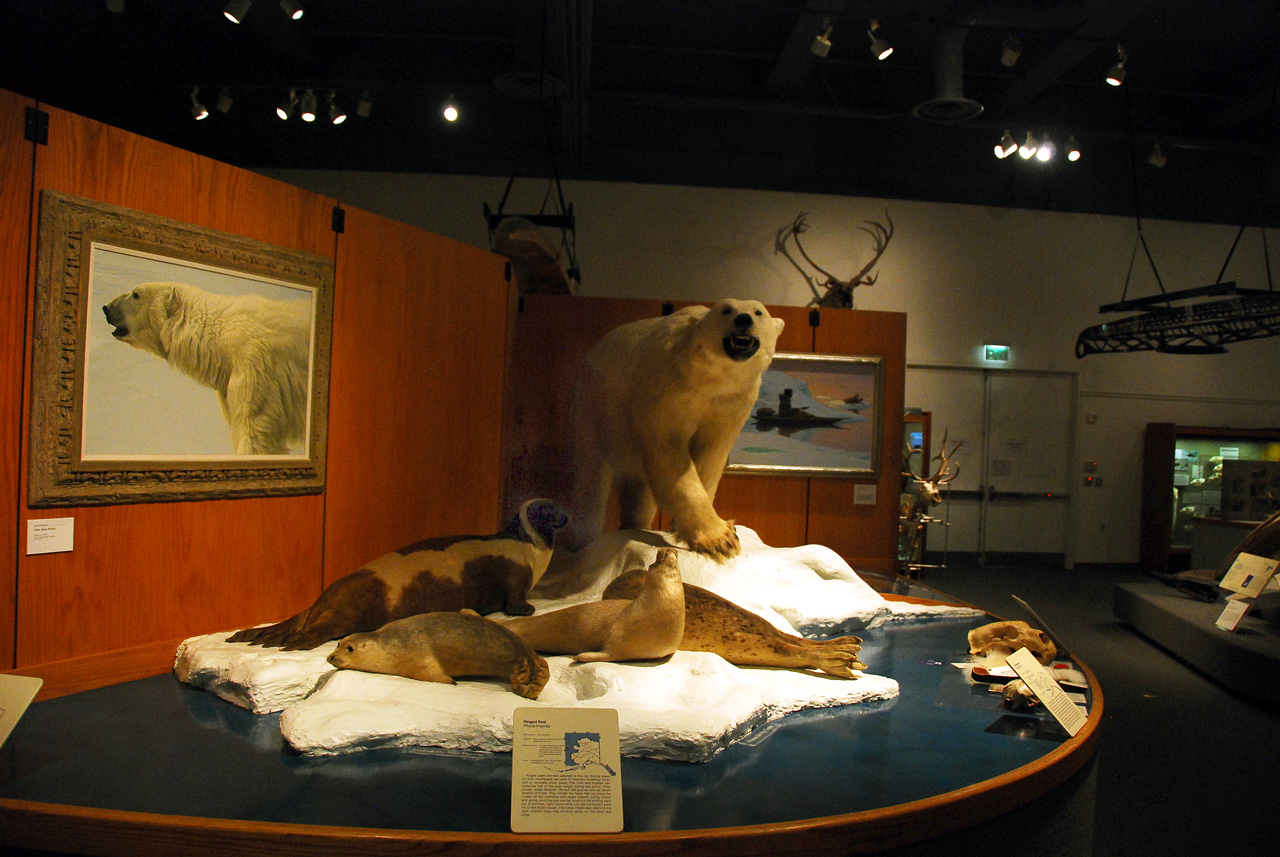 2013-08-02, 008, UA Museum of the North, Fairbanks, AK