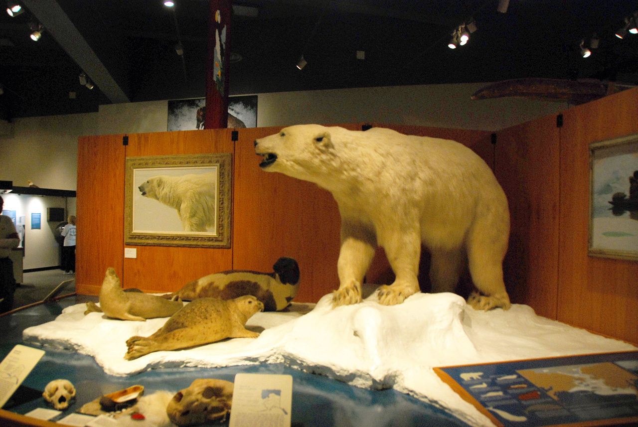 2013-08-02, 009, UA Museum of the North, Fairbanks, AK