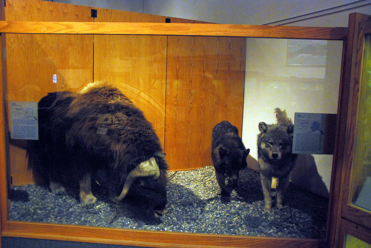 2013-08-02, 011, UA Museum of the North, Fairbanks, AK