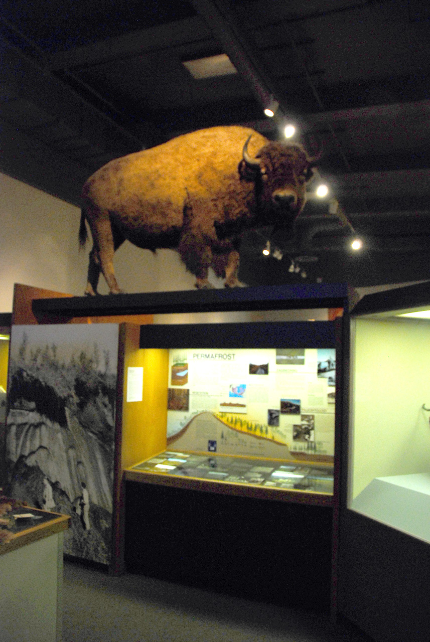 2013-08-02, 021, UA Museum of the North, Fairbanks, AK