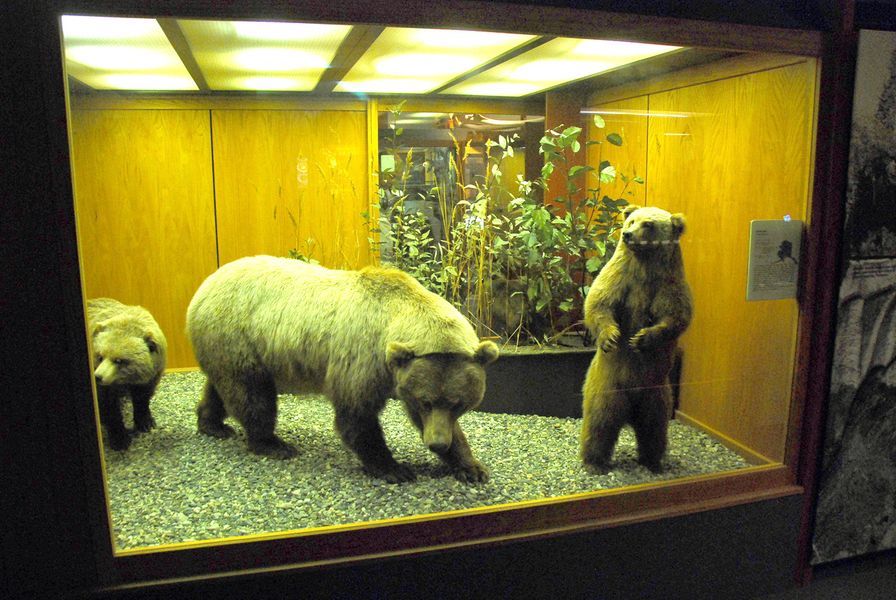 2013-08-02, 022, UA Museum of the North, Fairbanks, AK