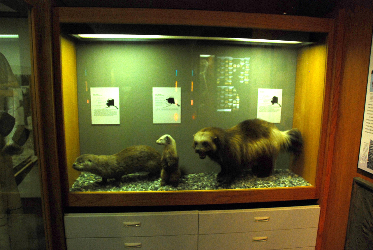 2013-08-02, 024, UA Museum of the North, Fairbanks, AK