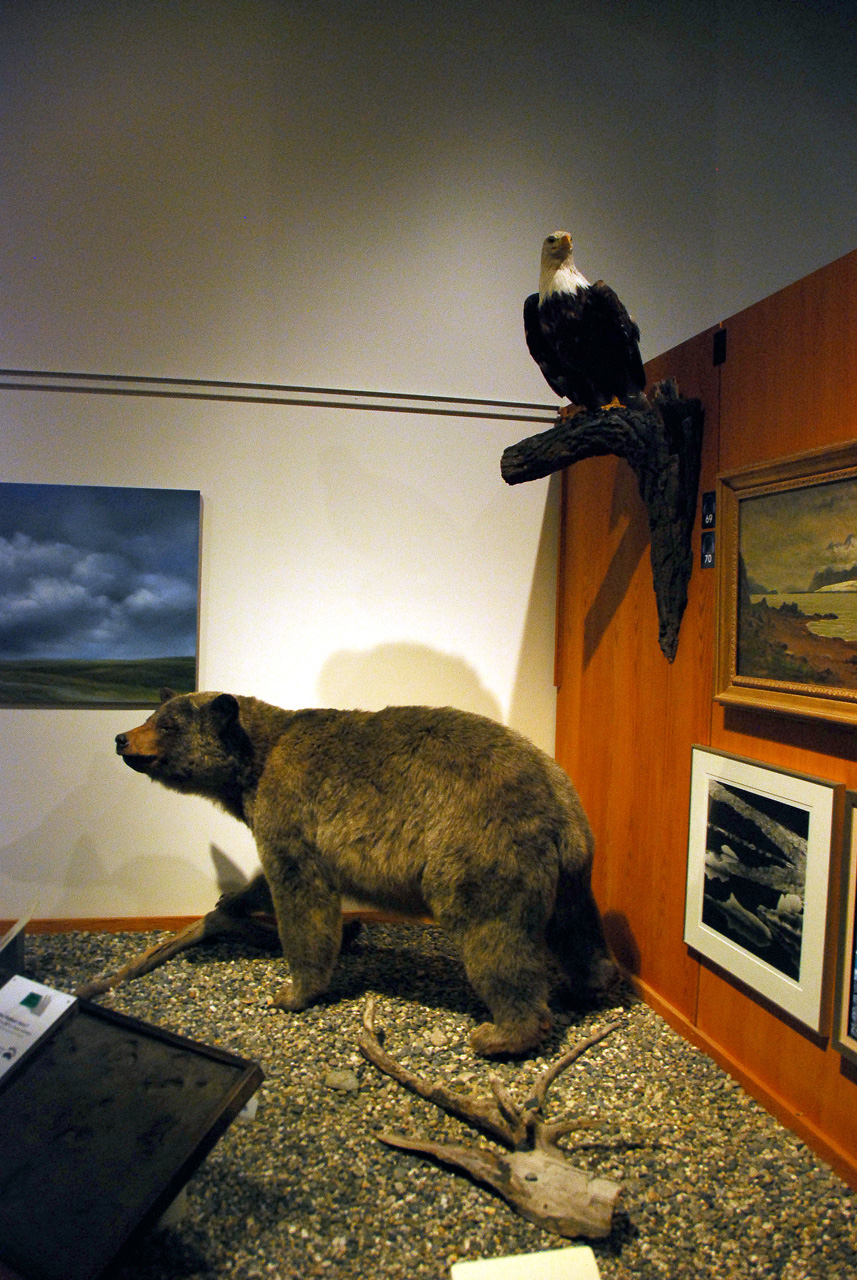 2013-08-02, 029, UA Museum of the North, Fairbanks, AK