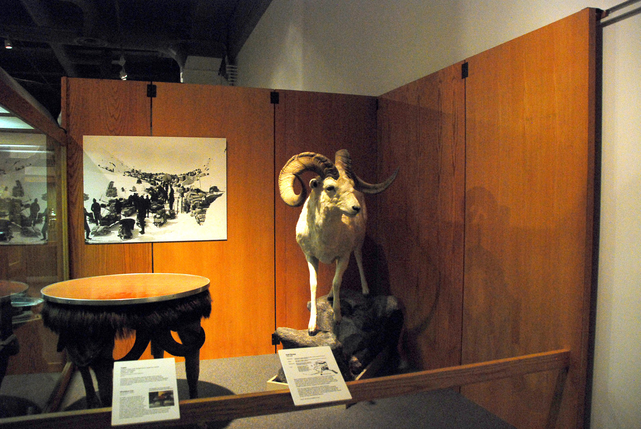 2013-08-02, 034, UA Museum of the North, Fairbanks, AK