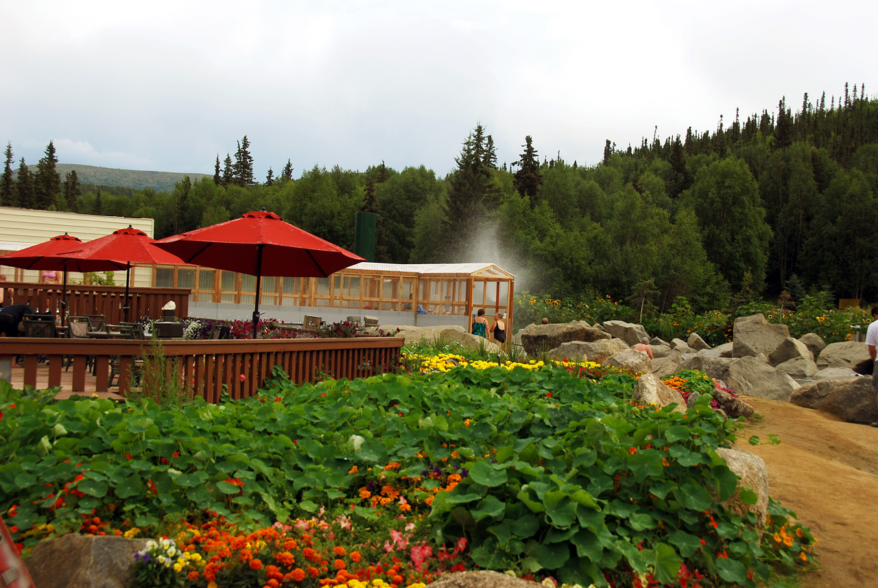 2013-08-04, 009, Chena Hot Springs, Chena, AK