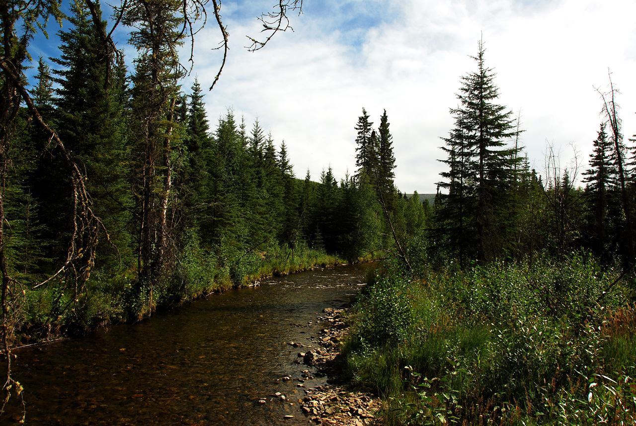 2013-08-04, 016, Chena Hot Springs, Chena, AK