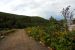 2013-08-04, 008, Chena Hot Springs, Chena, AK