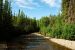 2013-08-04, 017, Chena Hot Springs, Chena, AK