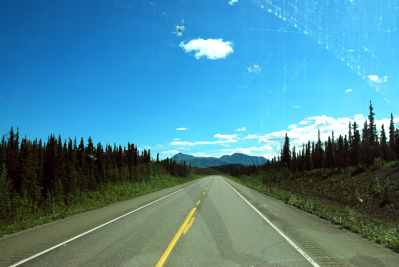 2013-08-07, 005, Along A4 in Alaska