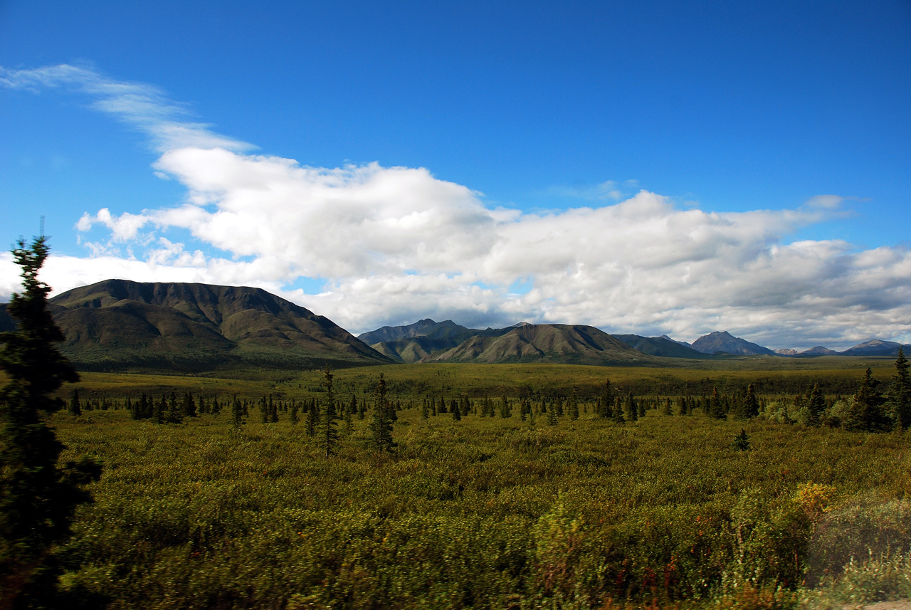 2013-08-08, 008, Denali National Park, AK, Mt McKinley