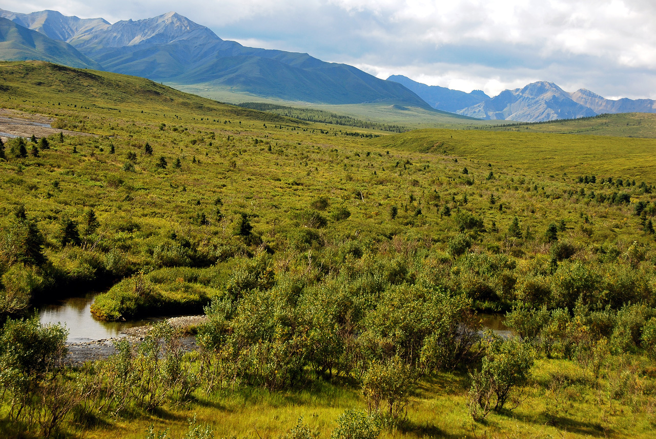 2013-08-08, 012, Denali National Park, AK, Mt McKinley