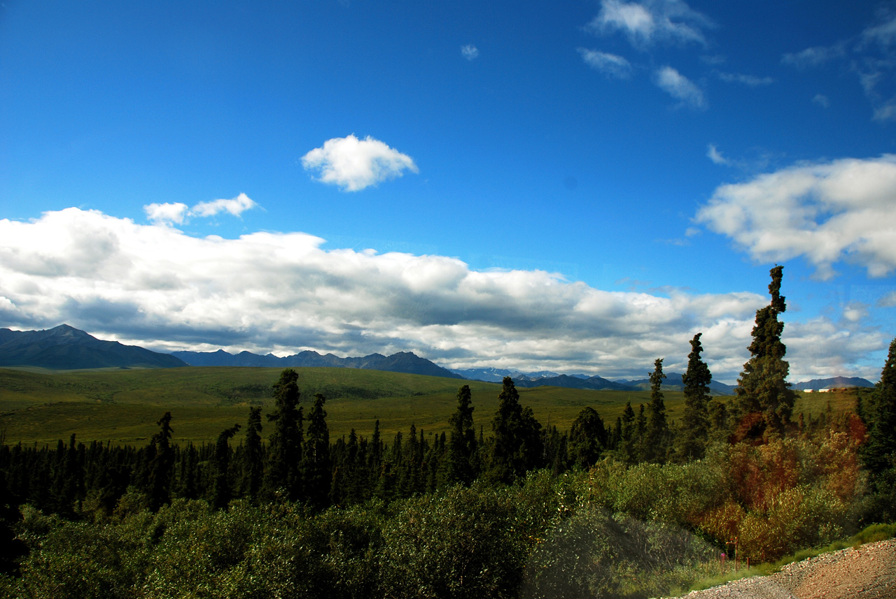 2013-08-08, 016, Denali National Park, AK, Mt McKinley