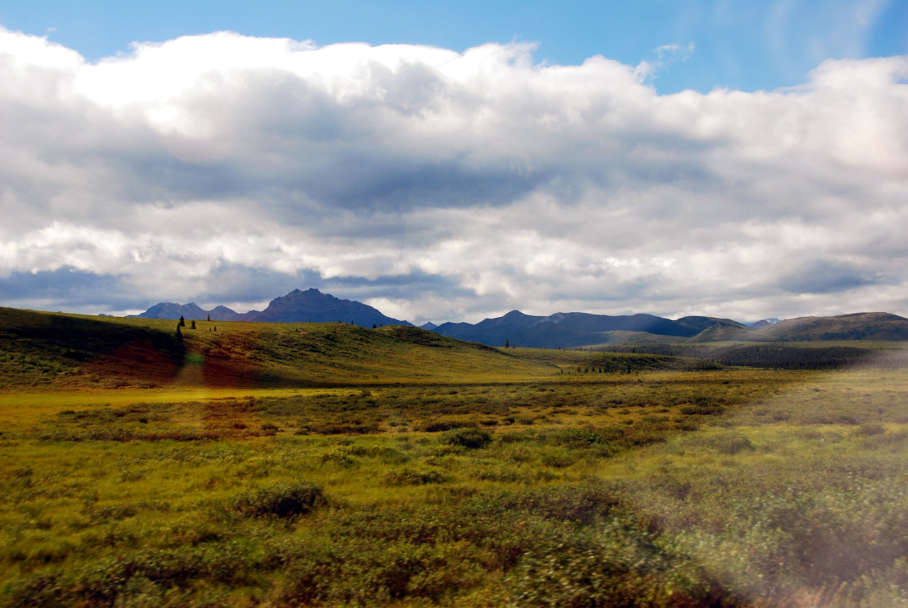 2013-08-08, 019, Denali National Park, AK, Mt McKinley