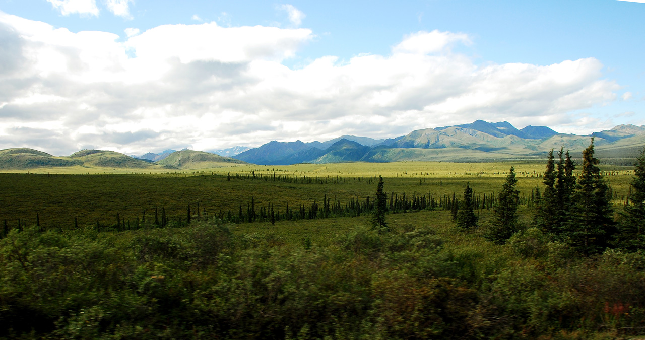 2013-08-08, 021, Denali National Park, AK, Mt McKinley