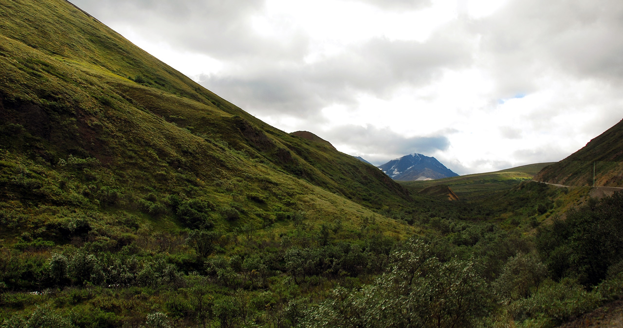 2013-08-08, 036, Denali National Park, AK, Mt McKinley