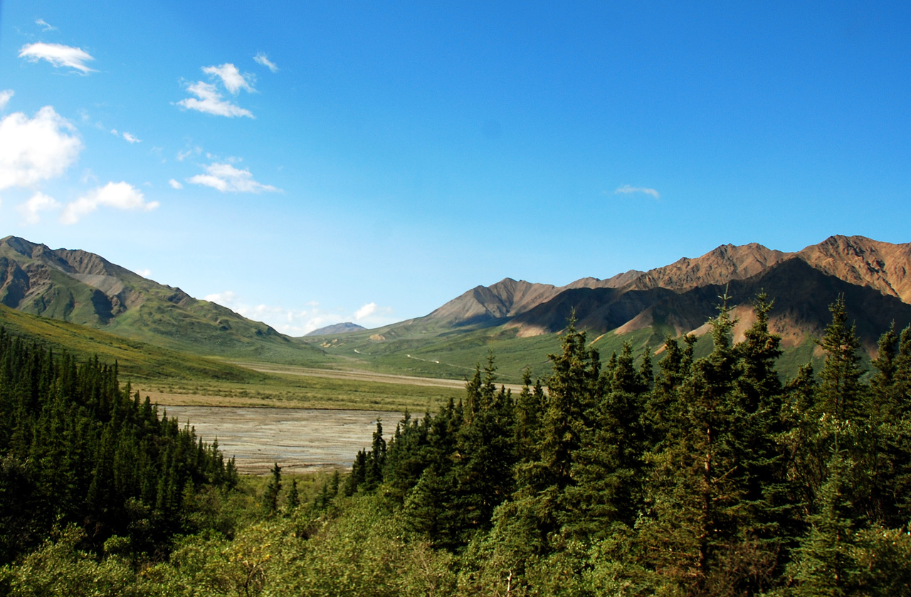 2013-08-08, 082, Denali National Park, AK, Mt McKinley