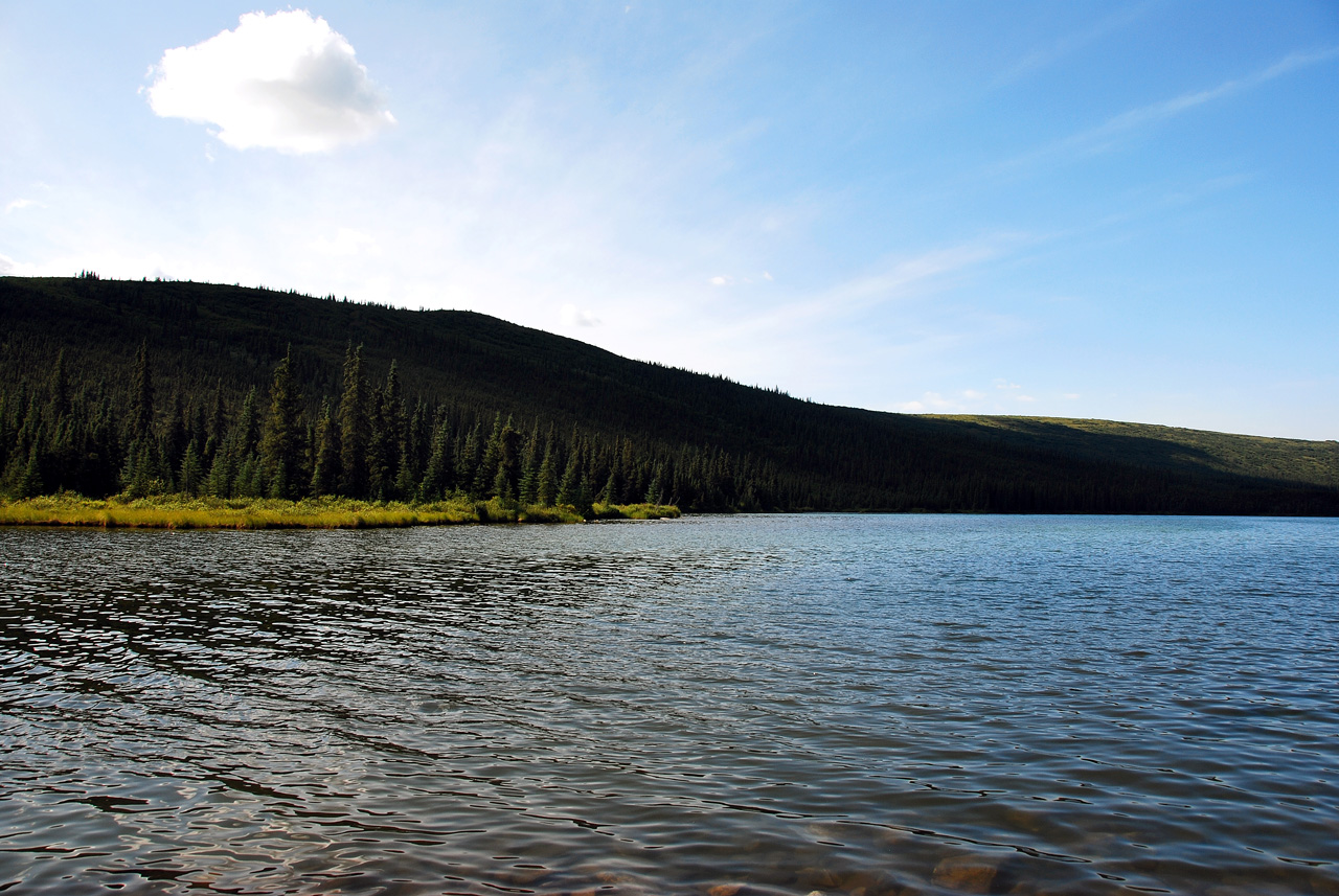 2013-08-08, 128, Denali National Park, AK, Mt McKinley