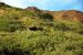 2013-08-08, 155, Denali National Park, AK, Mt McKinley