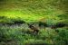 2013-08-08, 163, Denali National Park, AK, Mt McKinley