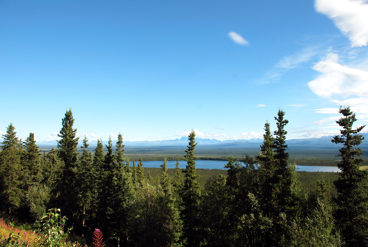 2013-08-11, 013, Along Hwy A1 in Alaska