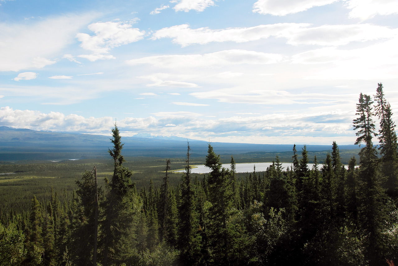 2013-08-11, 014, Along Hwy A1 in Alaska