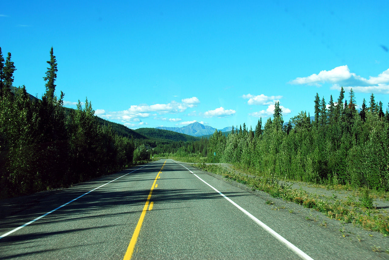 2013-08-11, 029, Along Hwy A1 in Alaska