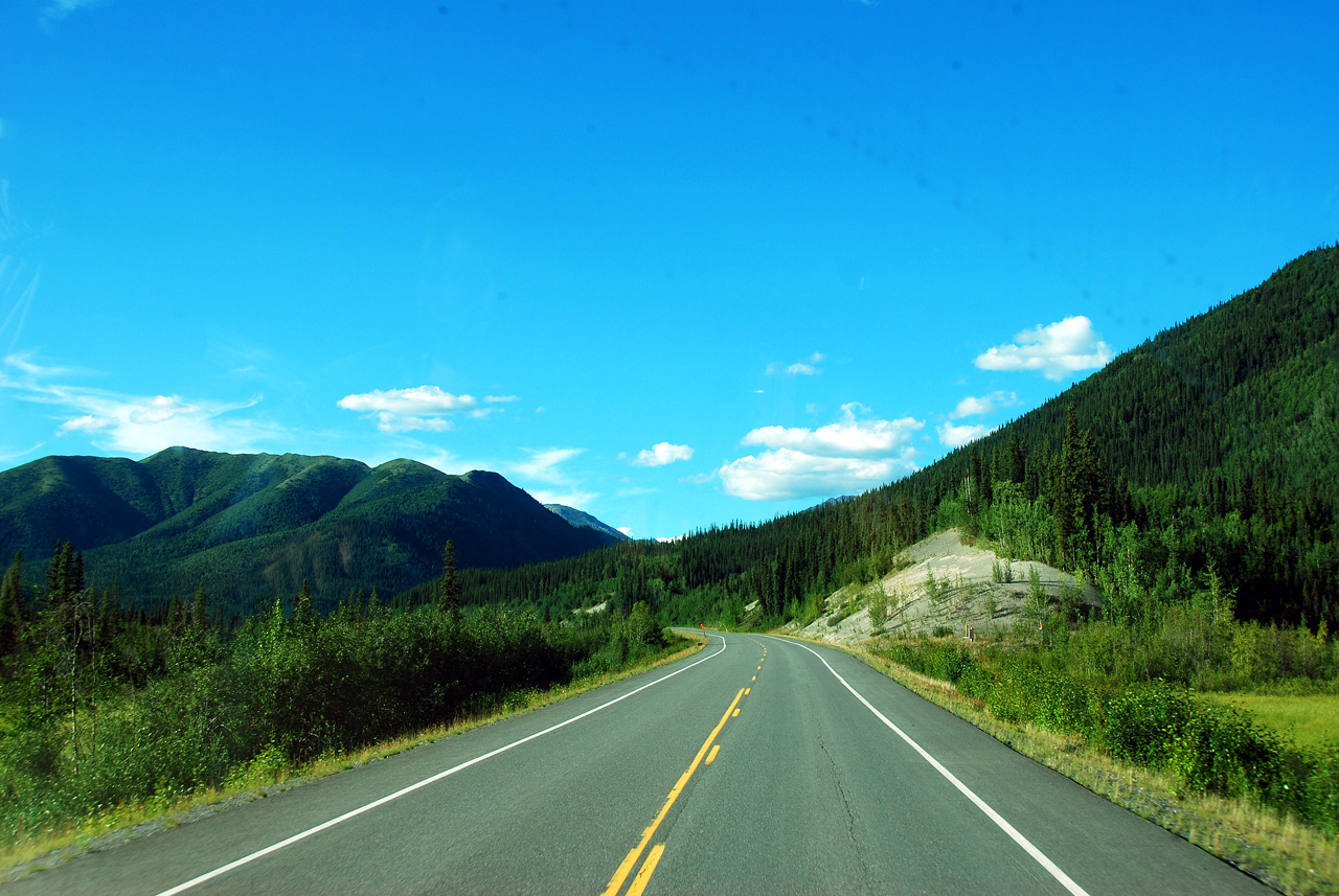 2013-08-11, 033, Along Hwy A1 in Alaska