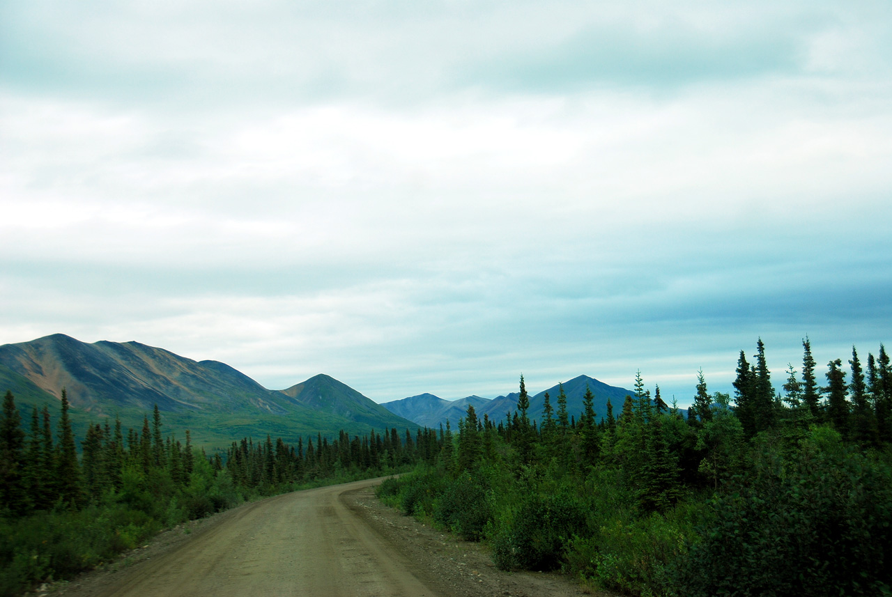 2013-08-11, 007, Denali Hwy, A8, Alaska