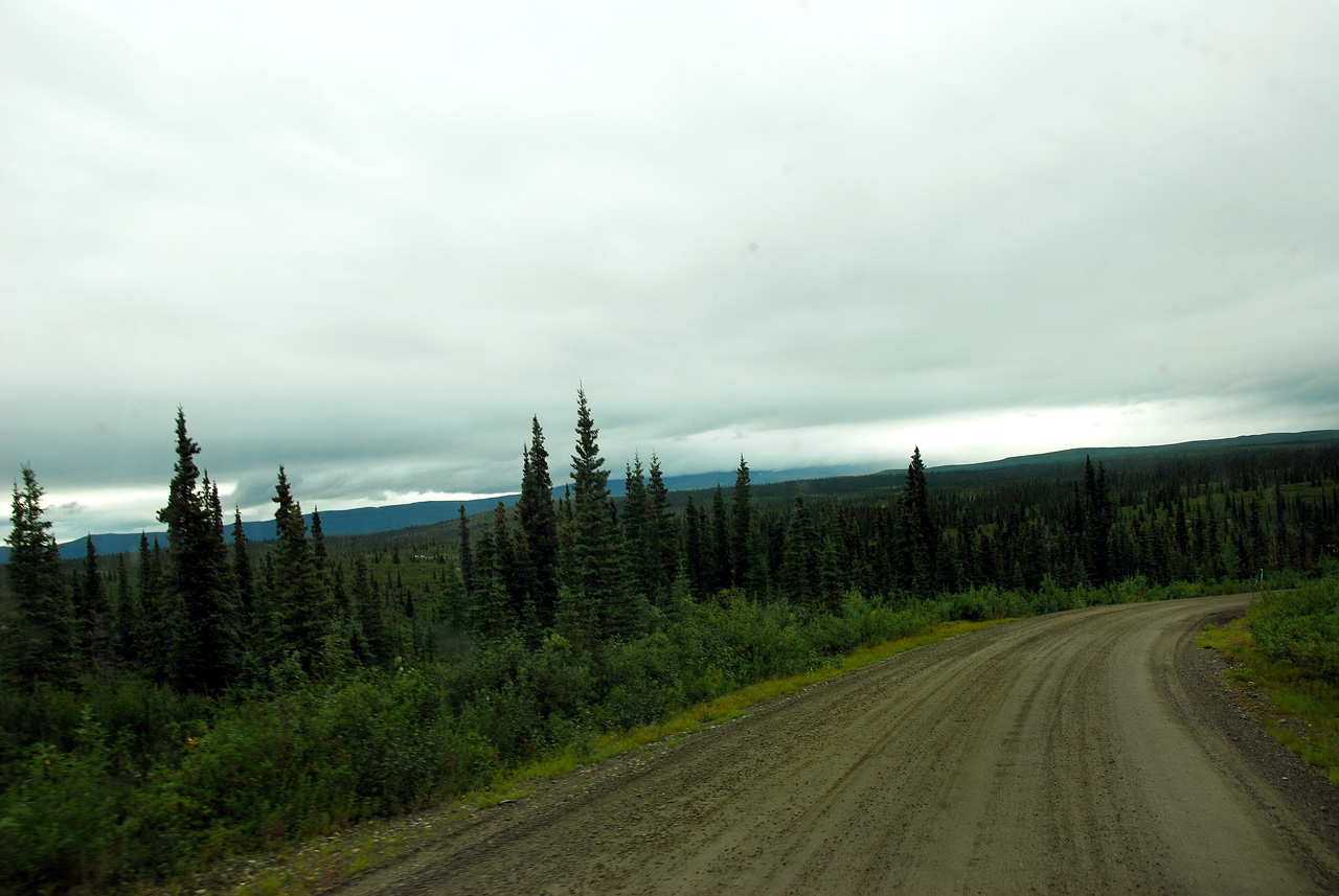 2013-08-11, 010, Denali Hwy, A8, Alaska