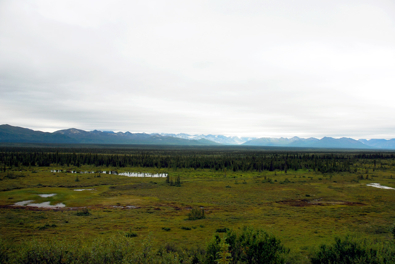 2013-08-11, 013, Denali Hwy, A8, Alaska