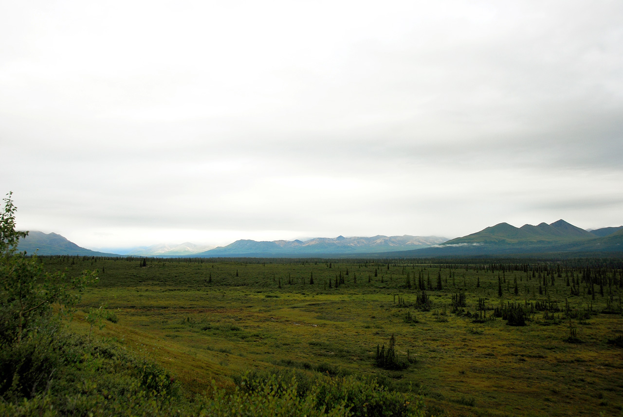 2013-08-11, 014, Denali Hwy, A8, Alaska