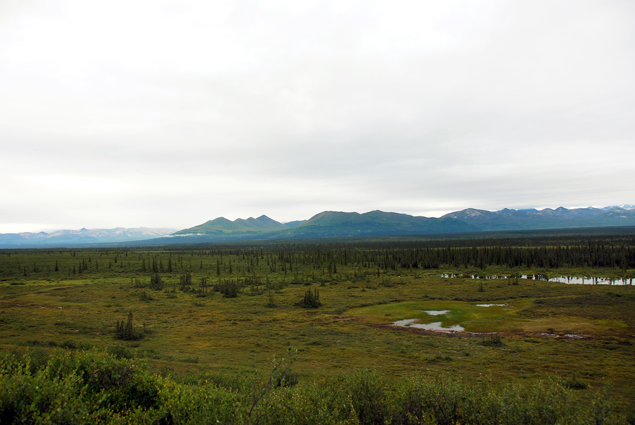 2013-08-11, 015, Denali Hwy, A8, Alaska