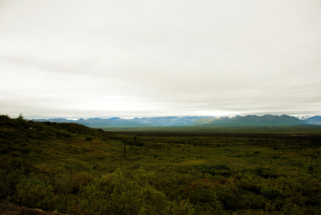 2013-08-11, 022, Denali Hwy, A8, Alaska