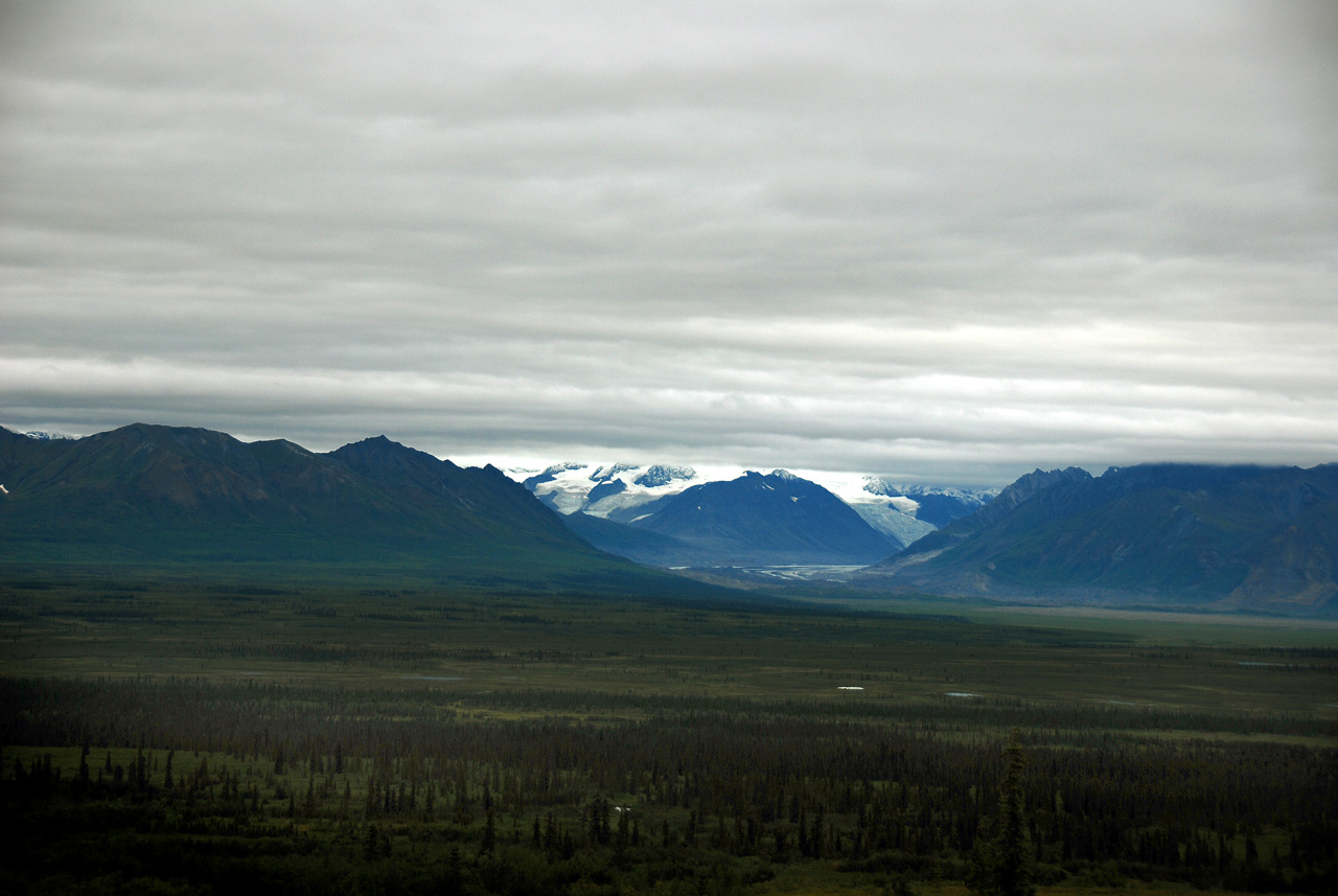 2013-08-11, 023, Denali Hwy, A8, Alaska