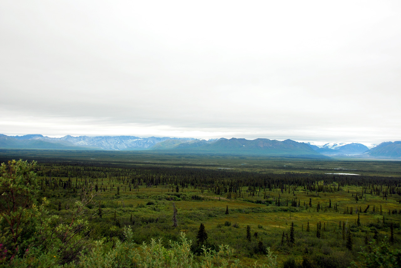 2013-08-11, 027, Denali Hwy, A8, Alaska