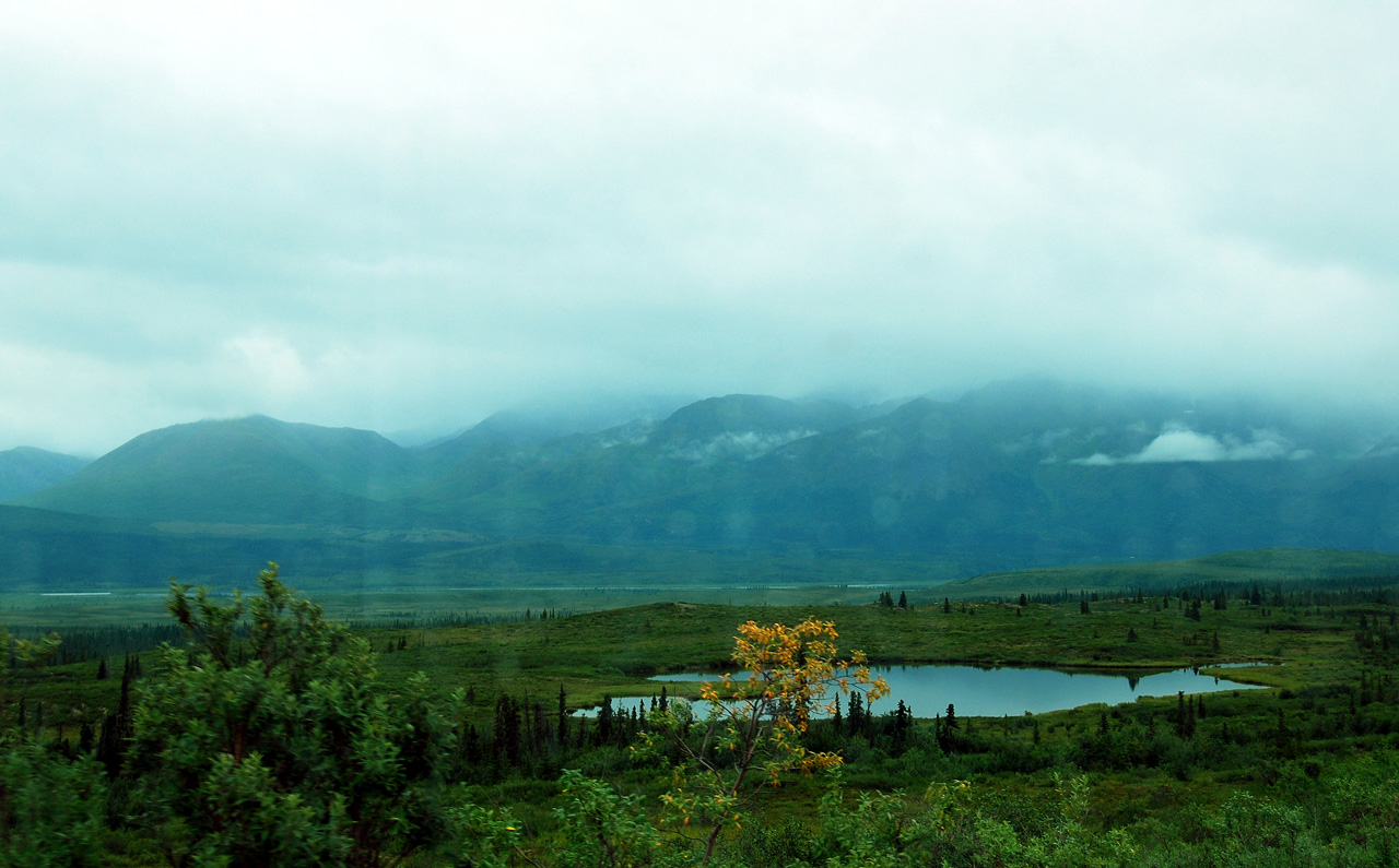 2013-08-11, 031, Denali Hwy, A8, Alaska
