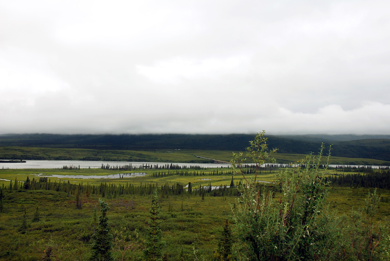 2013-08-11, 042, Denali Hwy, A8, Alaska