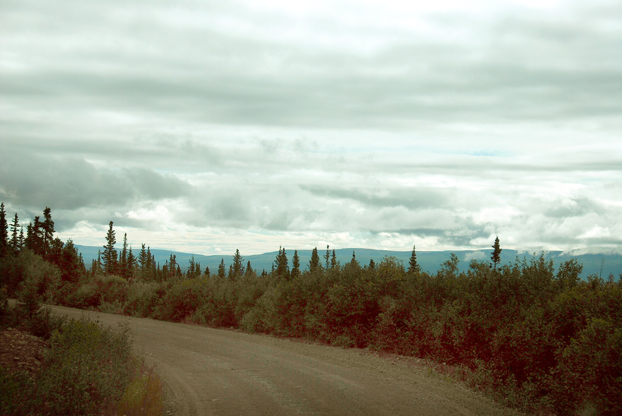 2013-08-11, 048, Denali Hwy, A8, Alaska