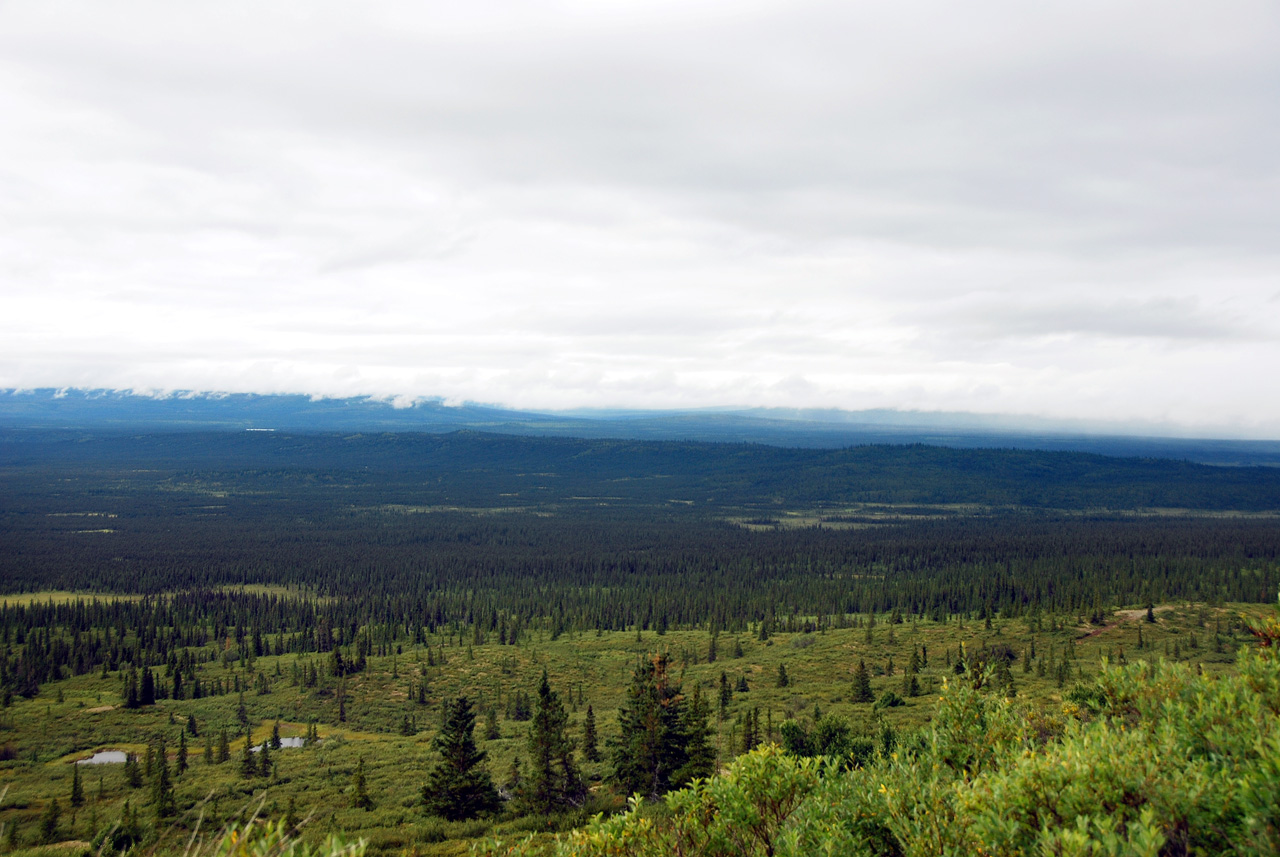 2013-08-11, 050, Denali Hwy, A8, Alaska